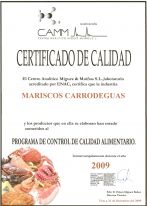Haga click para ampliar la imagen